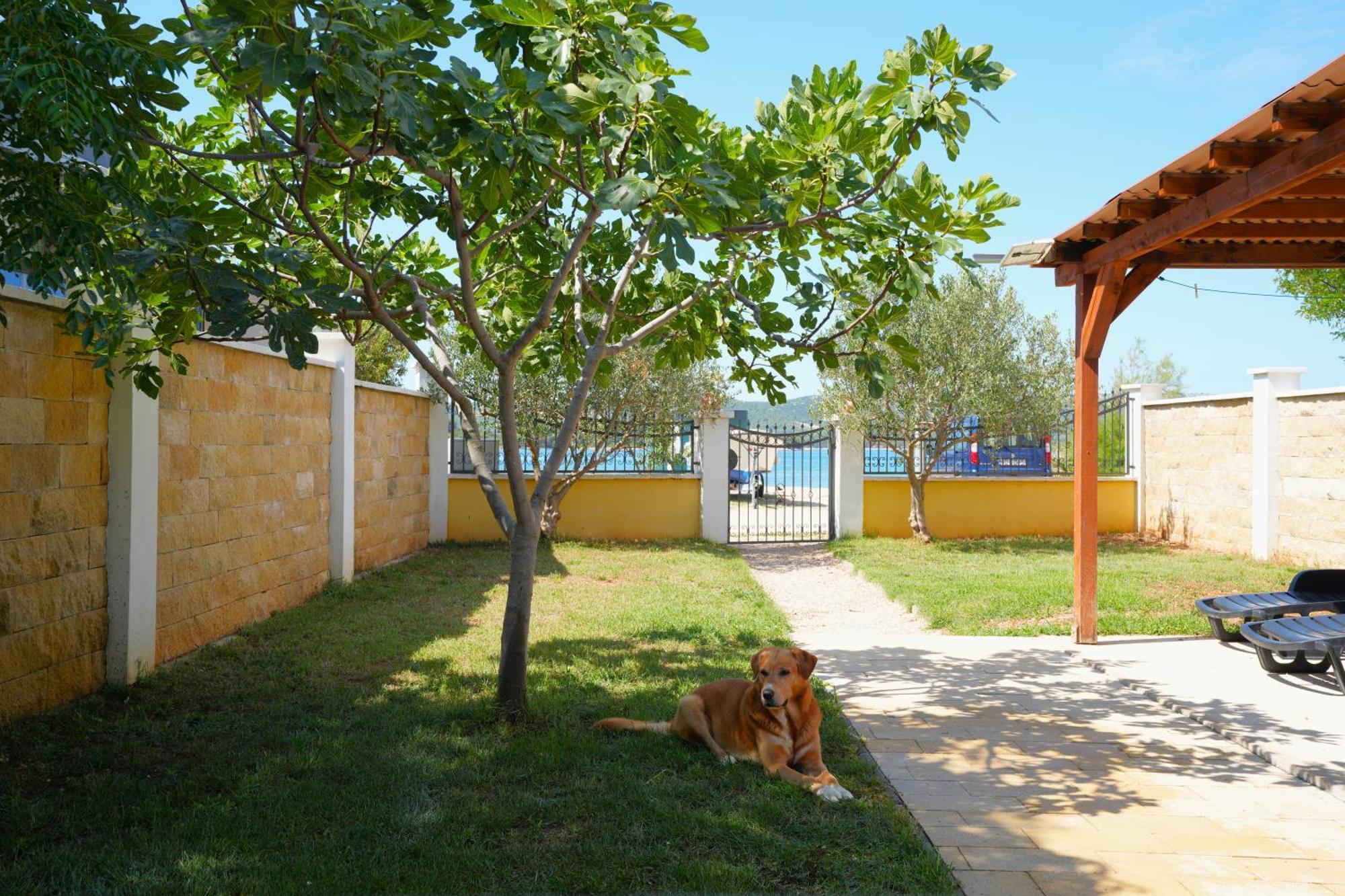Holiday Home - Beach House 'Amarella' Turanj Exterior photo